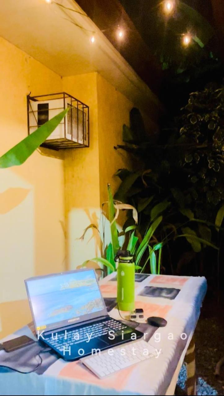 Ameeza Houze Homestay - Siargao General Luna  Extérieur photo