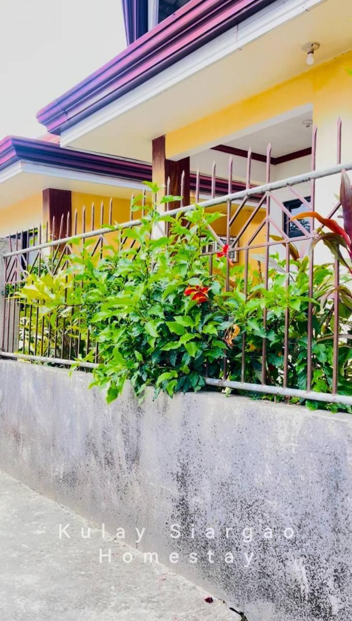 Ameeza Houze Homestay - Siargao General Luna  Extérieur photo